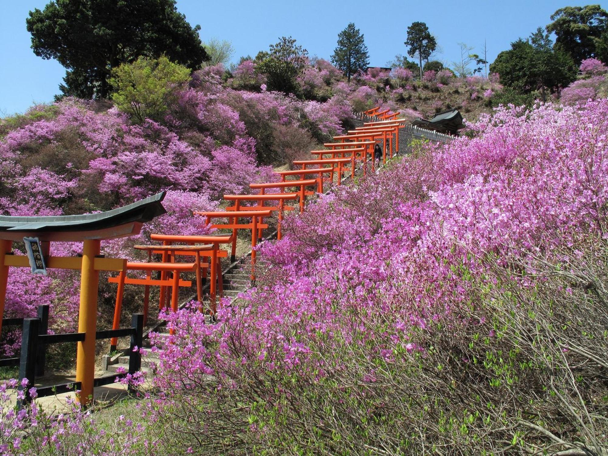 Mercure Kyoto Miyazu Resort & Spa Buitenkant foto